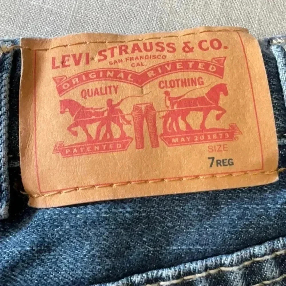 LEVI - Picture 3 of 6